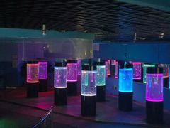 -苏州海洋馆