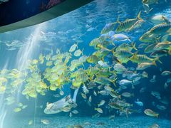 -泉城欧乐堡海洋极地世界