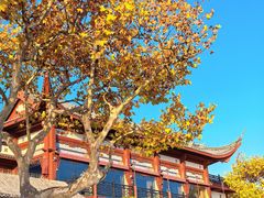 -楼外楼(西湖景区孤山路店)