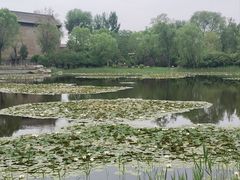-常家庄园