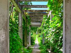-黑龙江省森林植物园