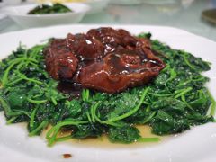 草头圈子-光明邨大酒家(汇阳广场店)