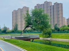 -坝河休闲公园