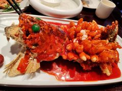 松鼠桂鱼-松鹤楼(山塘街店)