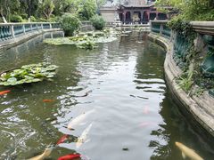 -碧江金楼