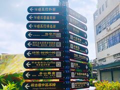 -荔湾湖公园