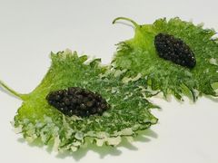 -大董(环贸iapm店)