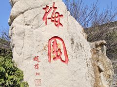 -梅园