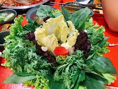 -谭鸭血老火锅(七宝万科广场店)