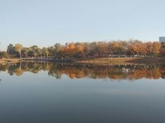 -大兴滨河森林公园