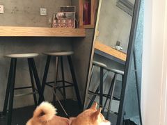 -Infica Coffee