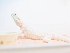 -藦茜花园宠物主题亲子互动体验馆(国顺东路店)