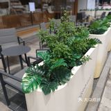 阳光明媚 粒子安排一下啦[加油]