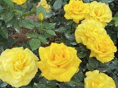 -人民公园(罗湖区)