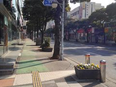 -宝健路步行街(Pedestrian Shopping Street)