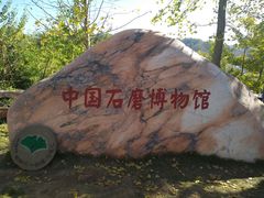 -千年银杏谷文化旅游区
