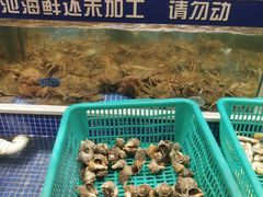 -丰卓会海鲜自助(中润大道店)