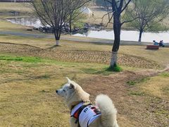 -钟山体育运动公园