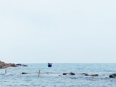 -广东惠东海龟国家级自然保护区