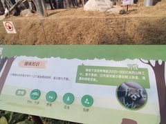 -武汉动物园