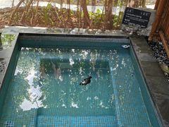 -海口观澜湖火山温泉谷