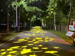 -祥源·阜阳生态乐园