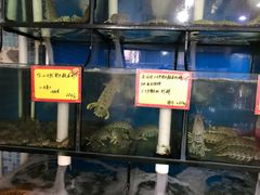 水产区-蚝专家(北滘店)