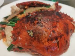 -上海浦东喜来登由由大酒店·宴会厅