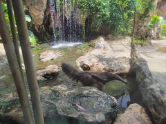 -长鹿旅游休博园