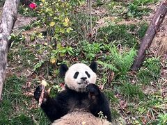-乐和乐都动物主题乐园