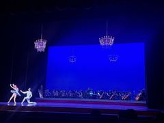 -北京大学百年讲堂