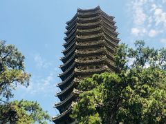 -农园餐厅(北京大学店)