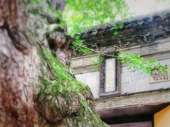 -惠山古镇·寄畅园