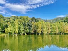 -广州市白云山风景名胜区
