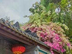 -深圳国际园林花卉博览园