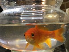-可莎蜜儿(浦沿店)