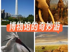 -陕西自然博物馆