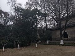 -灵谷景区