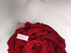 -Toris(LuOne凯德晶萃广场店)
