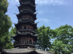 -上海佘山国家森林公园西佘山园