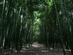-同里国家湿地公园