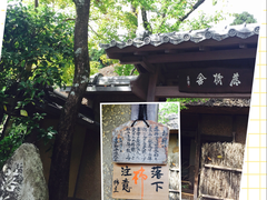 -岚山猴子公园
