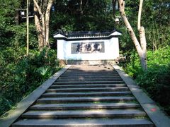 -虎跑公园