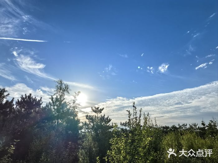 东郊湿地公园图片