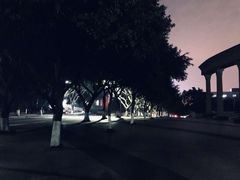 -西南政法大学(渝北校区)