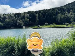 -武陵山森林公园