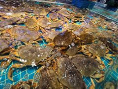 -驻海渔市(置信店)