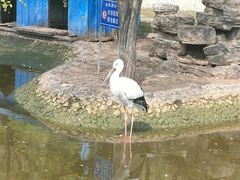 -森林公园(尖草坪区)