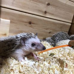 -酷嗒动物文化乐园(cutezoo西溪乐天城店)