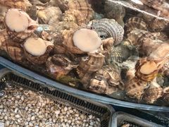 -渔中舟海鲜大排档(普陀沈家门店)